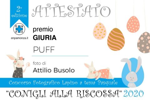 concorso