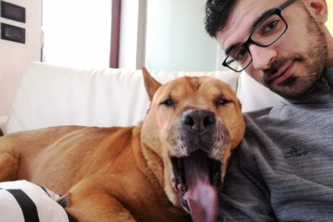 toby