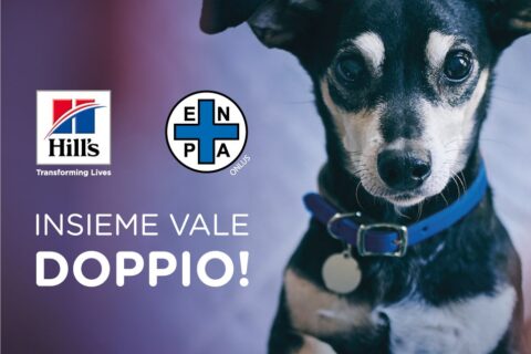 progetto
