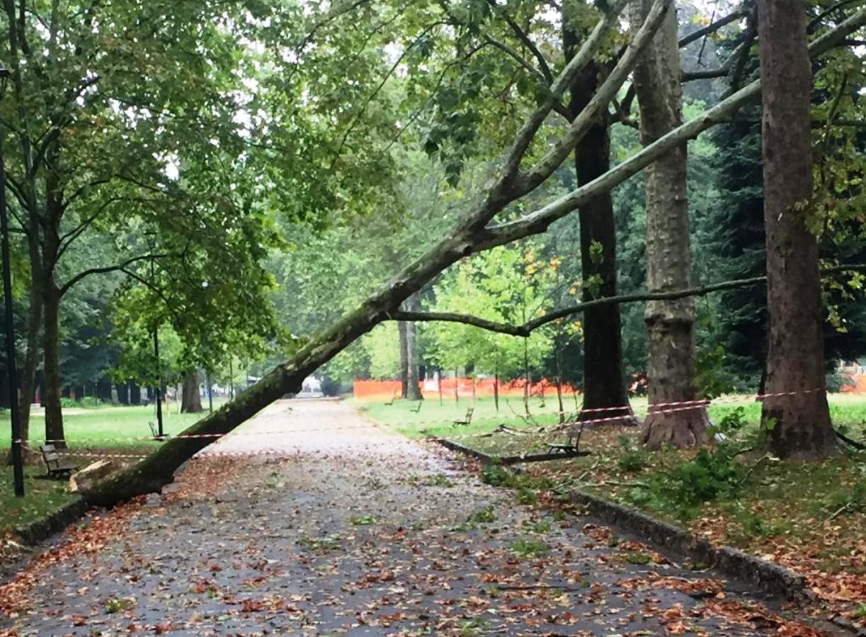 Forte nubifragio su Monza e Brianza Monza in Diretta