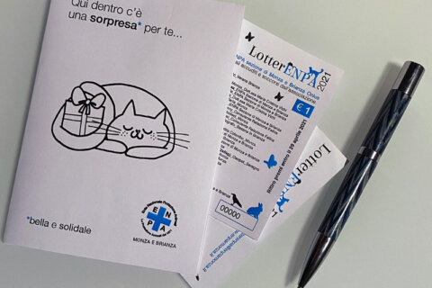 LotterENPA