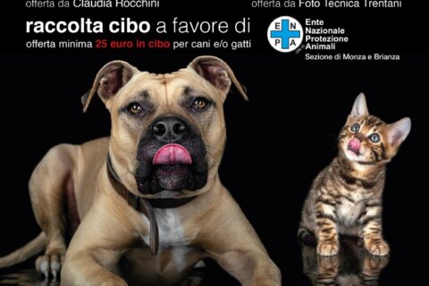 fotociotola