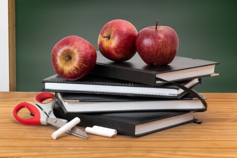 scuole primarie