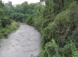 1200px-Lambro1-crop-260x188.jpg