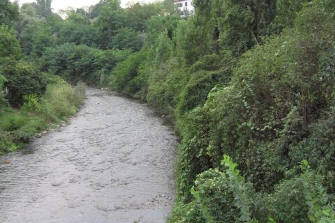 parco regionale