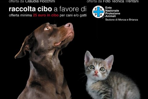 fotociotola