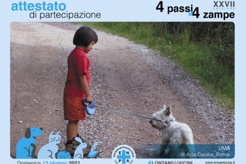 passi