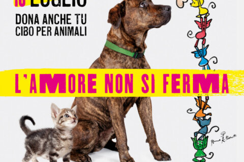 Sabato