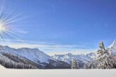 Aprica