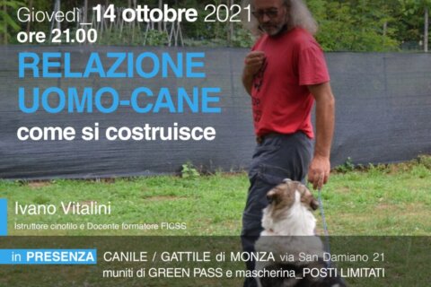 conferenza