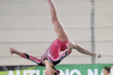 Lissone