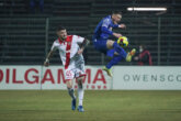 mantova