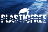 plastic free
