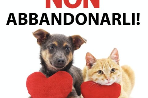 abbandono