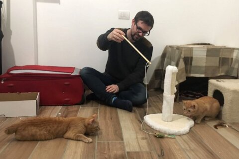 gioco