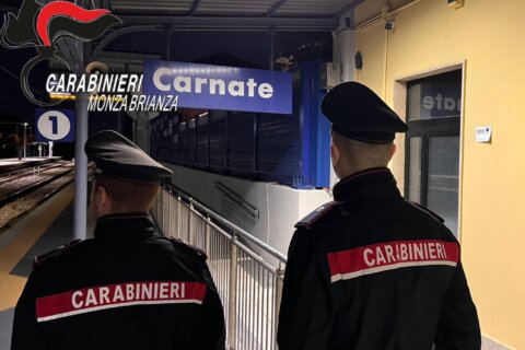 carnate