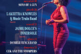 Blues River Festival