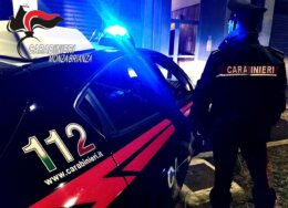 carab-260x188.jpeg