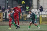 pro vercelli