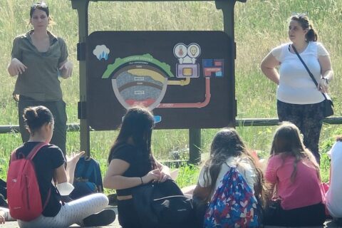 educazione ambientale