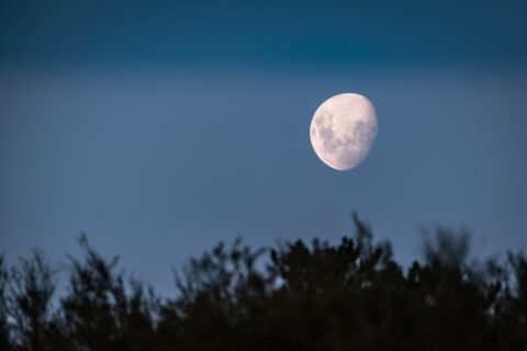 chiar di luna