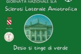 desio