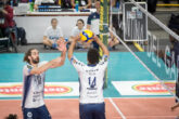 Rana Verona