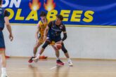 fiorenzuola desio basket