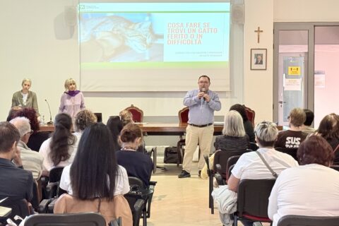 Gatti liberi corso a Desio