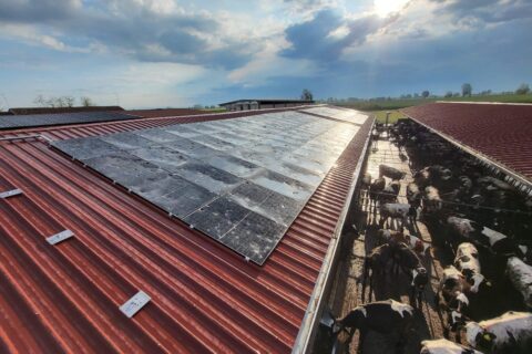 stalle grandine su fotovoltaico