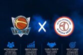 desio basket varedo