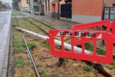 Desio PALO CADUTO