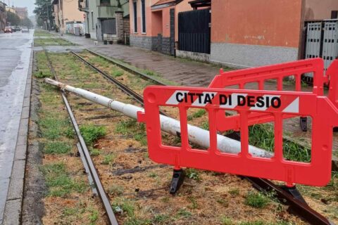 Desio PALO CADUTO