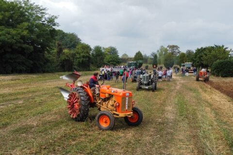 Azienda Agricola Frigerio