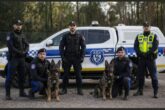 Guardia Particolare Giurata VIGILANZA NOC SECURITY