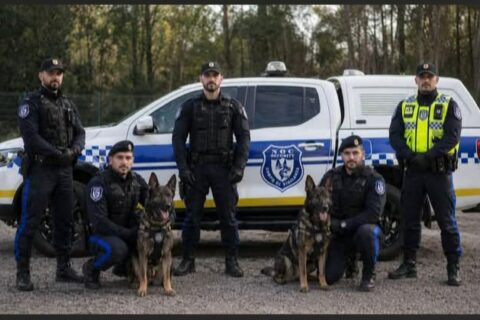 Guardia Particolare Giurata VIGILANZA NOC SECURITY