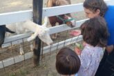 Giornata degli Animali ENPA monza