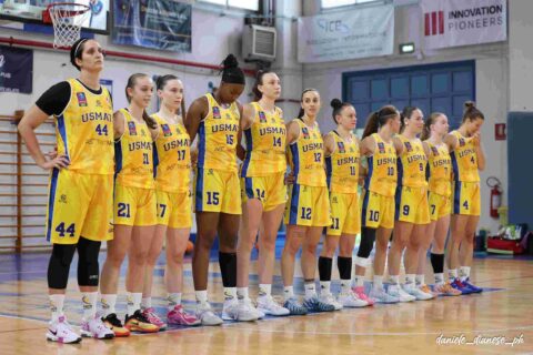 TechMed basket usmate